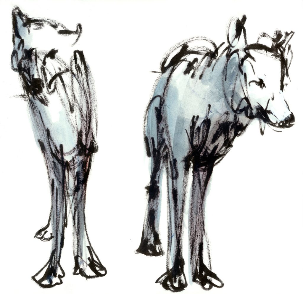 wolven