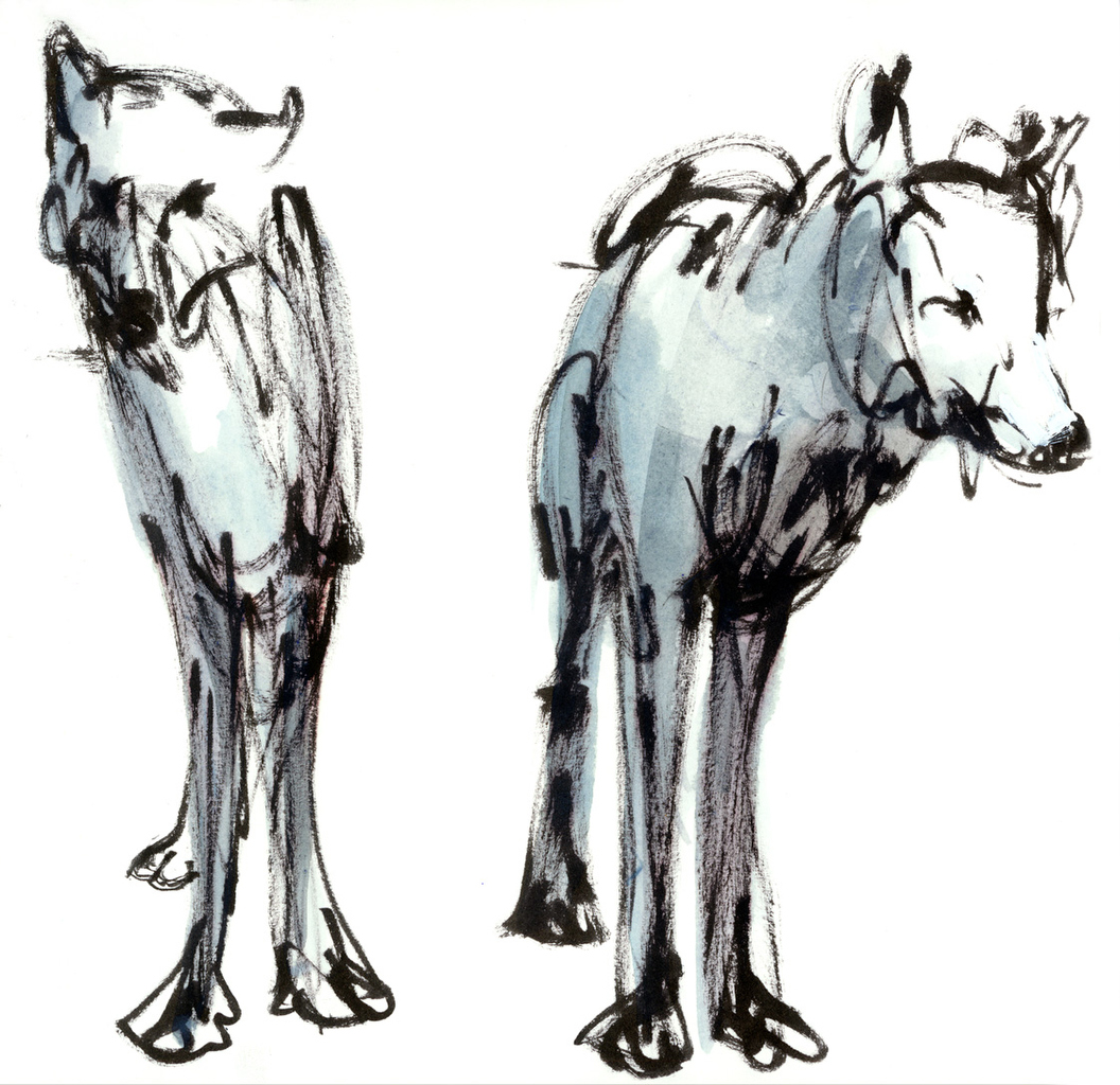 wolven