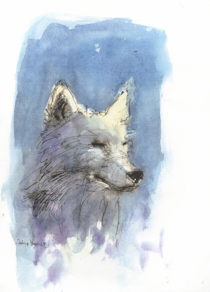wolf kop julie 1